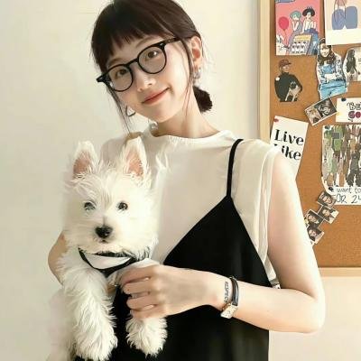 小鸟会走路